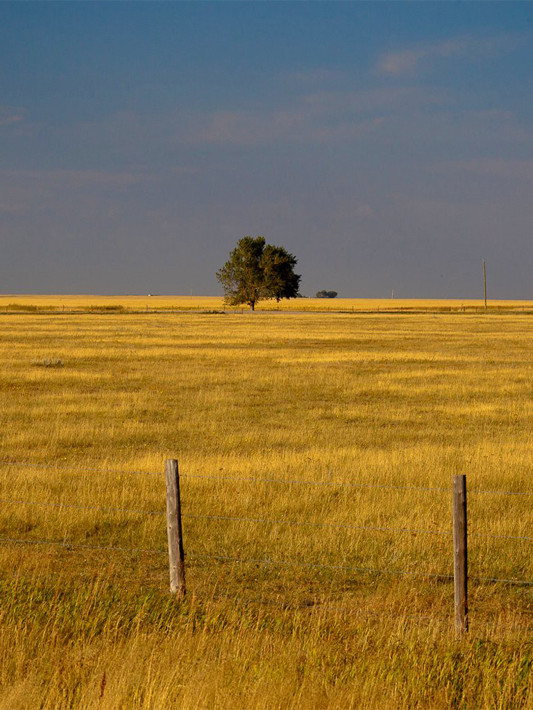 Flat prairie farmlands exist for miles and miles in Alberta before encountering the jagged peaks of the Canadian Rockies.